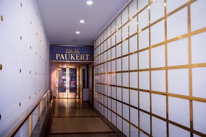 Na kliniku se dostanete přízemní halou Palác Paukert